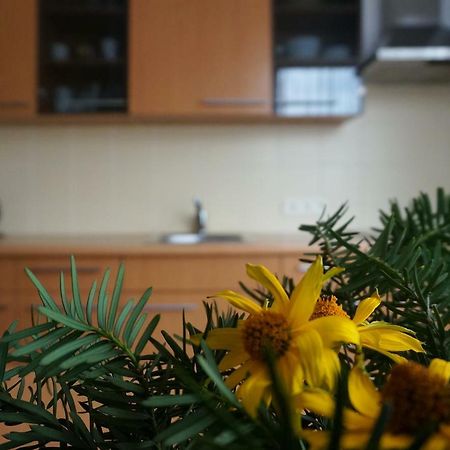 Green House パランガ エクステリア 写真